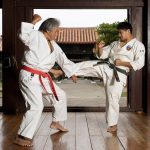 The History and Evolution of Karate: From Okinawa to the World