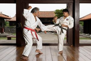 Read more about the article The History and Evolution of Karate: From Okinawa to the World